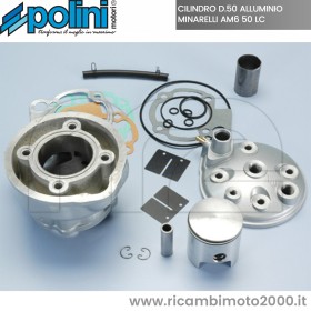 POLINI 50 AM6 1331008.jpg