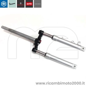 PIAGGIO-1C003512R.jpg_1