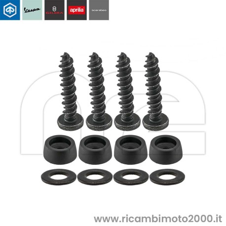 SCHIENALINO-VITI-CM260406.jpg_1