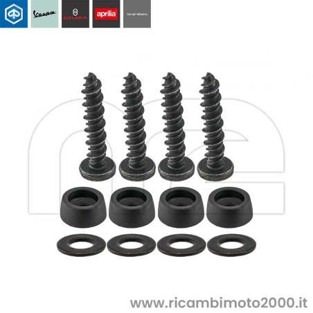 SCHIENALINO-VITI-CM260406.jpg_1