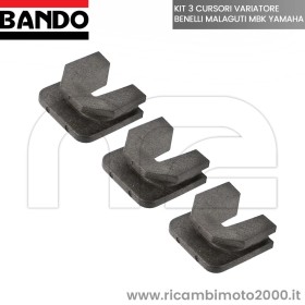 271023 BANDO TASSELLI DI TRAINO.jpg