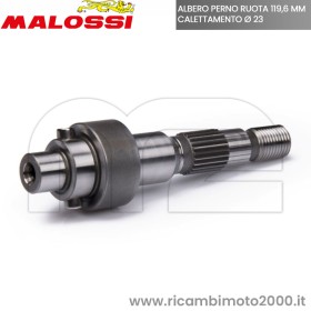 PIAGGIO 6718666B.jpg