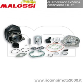 319541 malossi.jpg_1