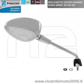 SPECCHIETTO DESTRO CM262002.jpg_1