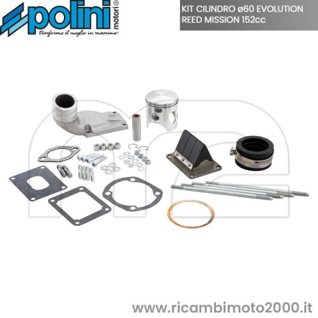 POLINI 1400227 Polini Evolution REED MISSION 02.jpg_1