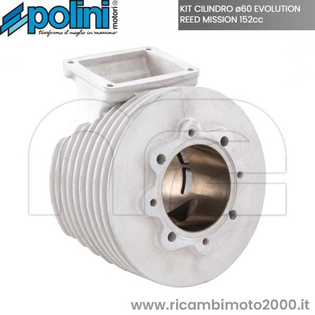 POLINI 1400227 Polini Evolution REED MISSION 03.jpg_1