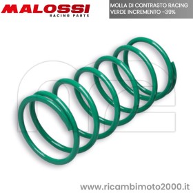 2914401.g0 MALOSSI.jpg_1