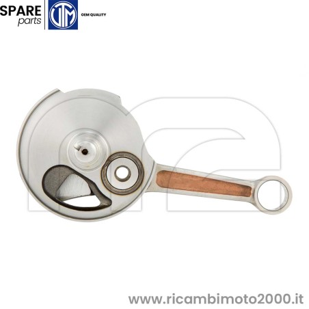 ALBERO-ANT-ET3-TORTOSA-2.jpg_1