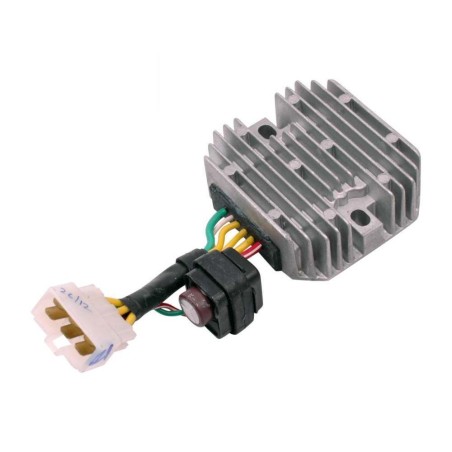 REGOLATORE-1A017429.jpg_1