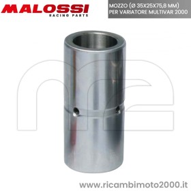 malossi-2315248B.jpg