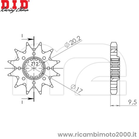 PIGNONE-100033.jpg_1