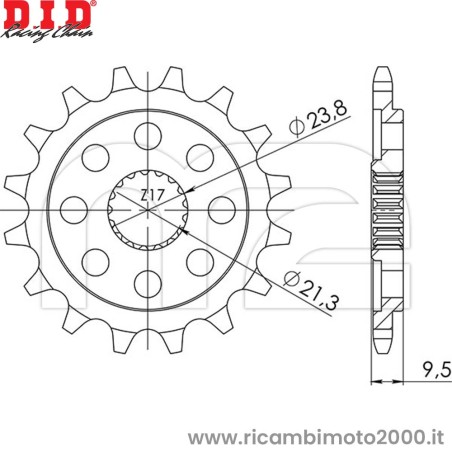 PIGNONE-100174.jpg_1