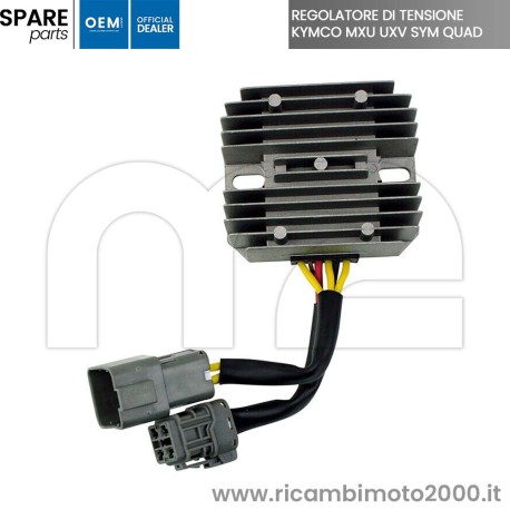 REGOLATORE-179160-2.jpg_1