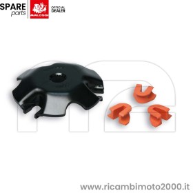 MALOSSI-2513056B.jpg_1