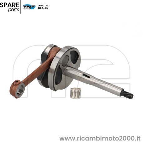 ALBERO-TNT-CIAO-10-SI.jpg_1