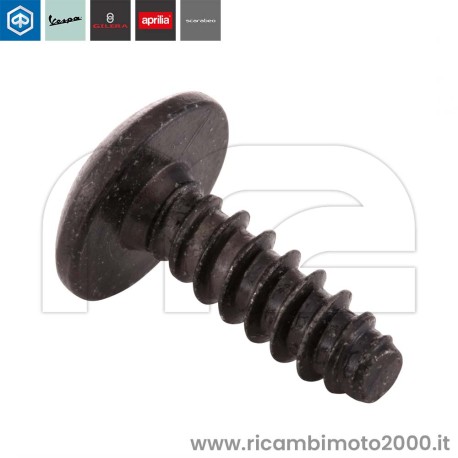 piaggio-CM178603.jpg_1