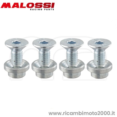 MALOSSI-1917499_01.jpg_1