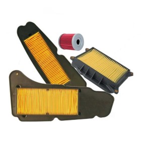 TAGLIANDO MAJESTY 400