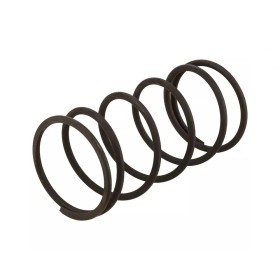 MOLLA PIAGGIO 478028