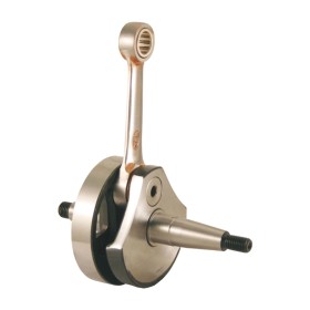 ALBERO RMS 100030250