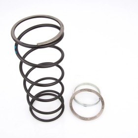 SPRING SLIDERS PINASCO 10412066 KYMCO HONDA 125 150 250 300