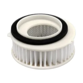 FILTRO ARIA MIW Y4177