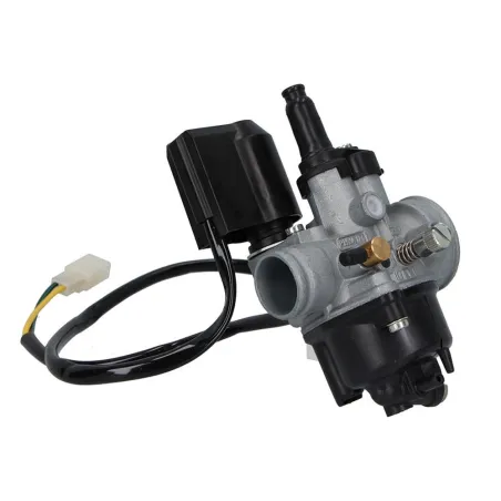 CARBURATORE 01446