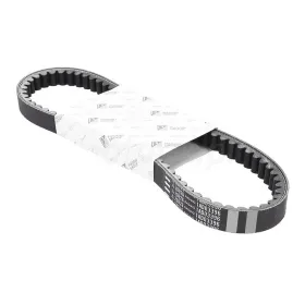 CINGHIA PIAGGIO 1A003396