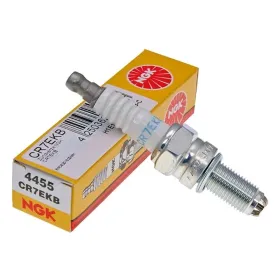 CANDELA NGK CR7EKB