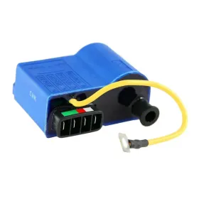 BOBINA PIAGGIO 244128