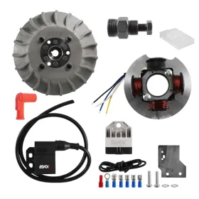 ACCENSIONE ELETTONICA EVOK ANTICIPO VARIABILE CONO 20 PIAGGIO APE VESPA 50 125