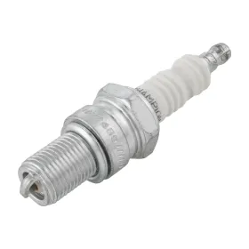 CANDELA CHAMPION CCH8698E