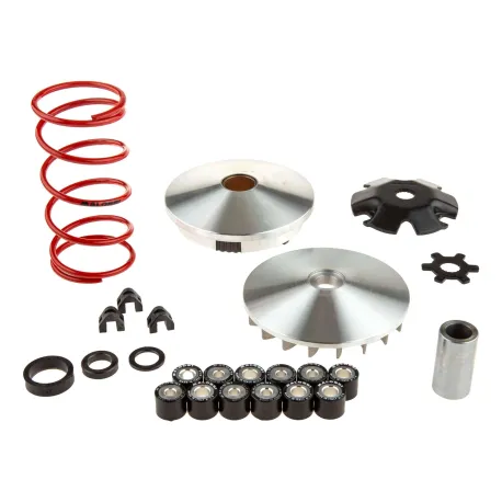 VARIATORE MINARELLI 5113161 MHR MALOSSI.jpg_1