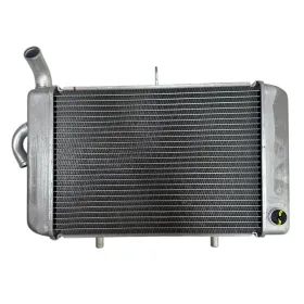 RADIATORE TNT 093600V