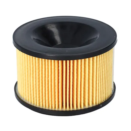 FILTRO ARIA MIW F7005