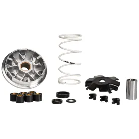 MULTIVAR MINARELLI 50