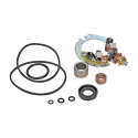 KIT SPAZZOLE MOTORINO AVVIAMENTO ARROWHEAD SMU9120 HONDA E SUZUKI