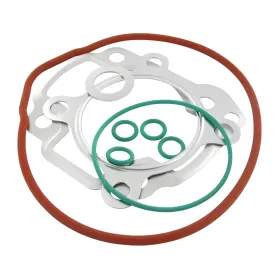 Guarnizioni top 9921310