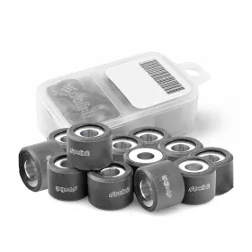 KIT 12 RULLI VARIATORE POLINI