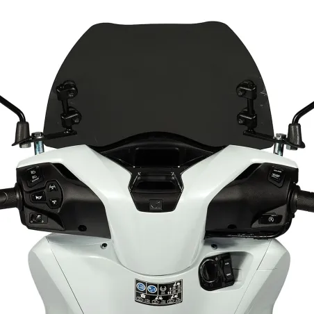 Cupolino fume Malossi | 4518766