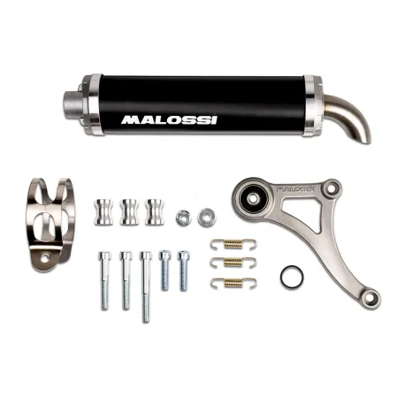 Marmitta espansione MALOSSI |3219161 2