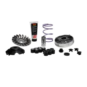 VARIATORE MALOSSI |5118238