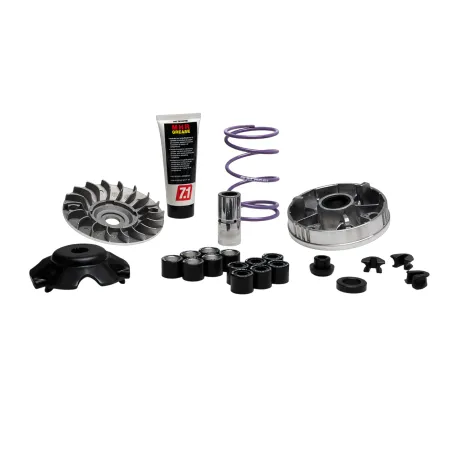 VARIATORE MALOSSI |5118238