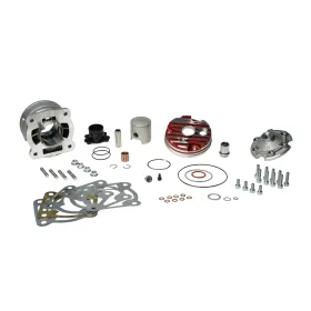 GRUPPO TERMICO MALOSSI | 3115901