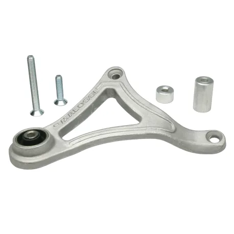 STAFFA MARMITTA MALOSSI | 189663B