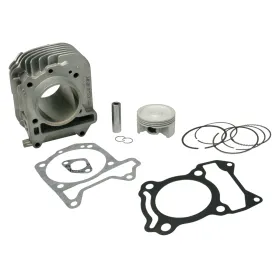 CILINDRO MALOSSI | 3115695