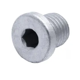 TAPPO SCARICO OLIO | 1A000139