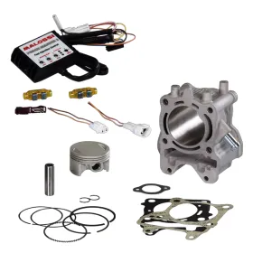 GRUPPO TERMICO Ø 61 CON CENTRALINA MALOSSI HONDA SH 150 2013 - 2019