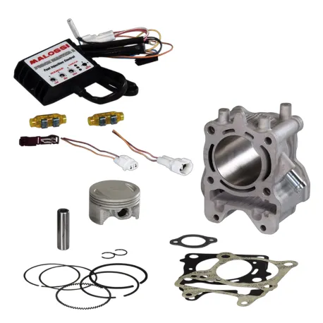 GRUPPO TERMICO Ø 61 CON CENTRALINA MALOSSI HONDA SH 150 2013 - 2019