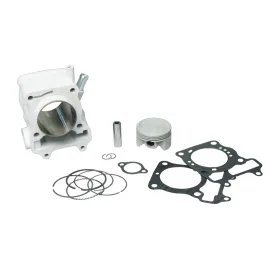 KIT CILINDRO MALOSSI DIAMETRO 61 | 3111588